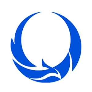 朱雀AI检测